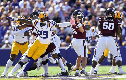 After the Win: Handing out LSU's MVP Awards (Defense)